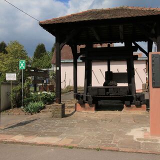 Station Alte Kelter