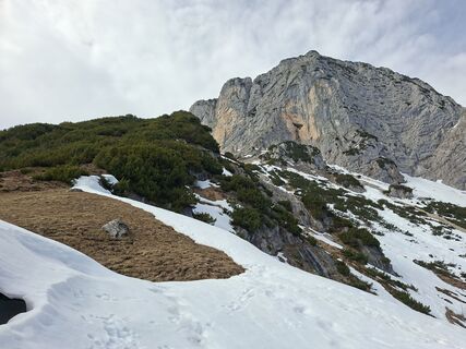 Foto von Filou und Luna entlang der Tour