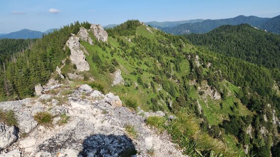 Fotografija s spletne strani Zdeněk Kutak na poti