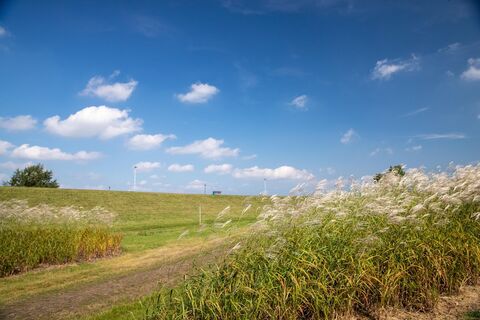 Weg binnendeichs entlang des Seekurparks im Nordseebad Dangast