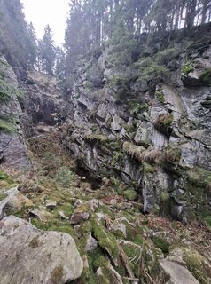 Foto de Wollomator a lo largo del recorrido