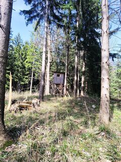 Foto de Katja Klemenčič a lo largo del recorrido
