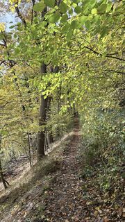 Photo de TIY le long du parcours