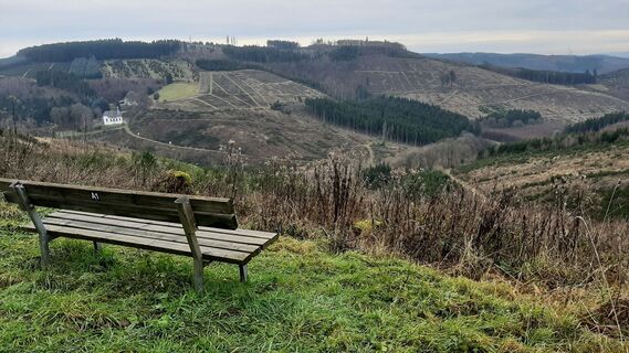 Zdjęcie z Georg Meisterjahn wzdłuż trasy