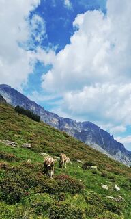 Fotografie z Kati G.-M. na trase