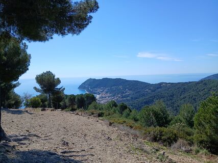 Foto von Luca Dainese entlang der Tour