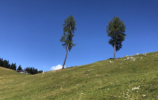 Foto van Gerardo Brunetti langs de tour