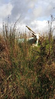 Foto de Ub a lo largo del recorrido