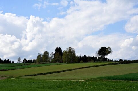 Friesenhof-Wanderweg