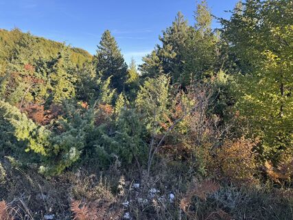 Foto van Jean-Pierre Ghidelli langs de tour