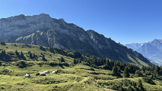 Foto von Rolf Limacher entlang der Tour