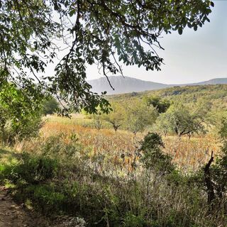 Landschaft, Vukanja