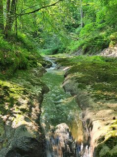 Foto från Birgit Spiegel under resans gång