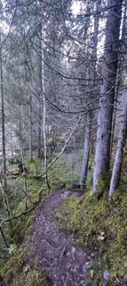 Foto von Leksandr Chernyy entlang der Tour
