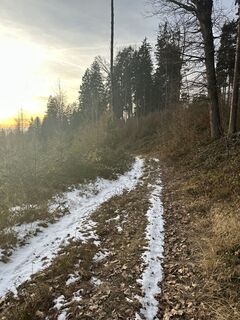 Foto de Irmi Lechner a lo largo del recorrido