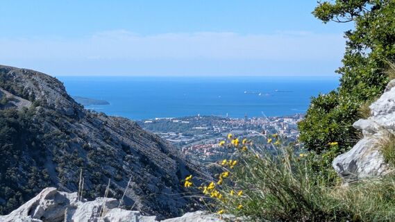 Foto von Ziegler Em1304 entlang der Tour