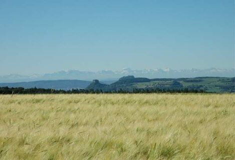 Hegauberge mit Alpenpanorama