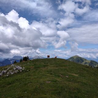 Cima Bella