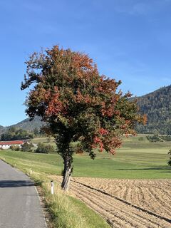 Foto von steste74 entlang der Tour