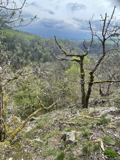 Foto von Andreas Mühlig entlang der Tour