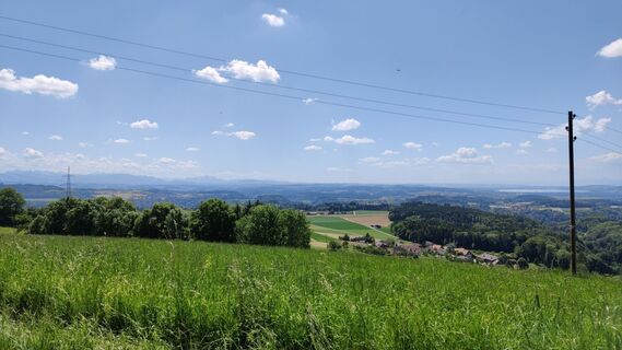 Foto von Manu Murri entlang der Tour