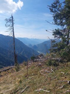 Foto von Helmut Wagner 2 entlang der Tour