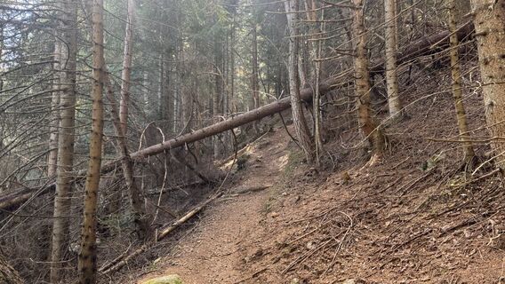Photo de peter_oe le long du parcours