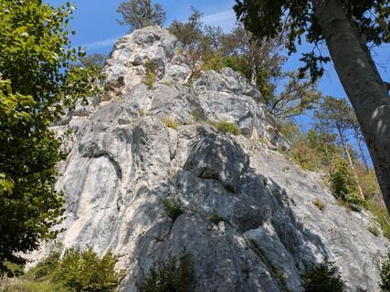 Foto da Edero lungo il tour