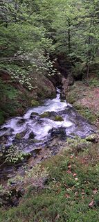 Photo de Pascal Ch. le long du parcours