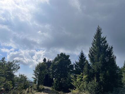 Foto von Martina Schüller entlang der Tour