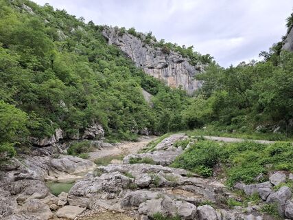 Foto von nordbergschnecke entlang der Tour