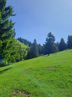 Foto von Greg+Lisa entlang der Tour