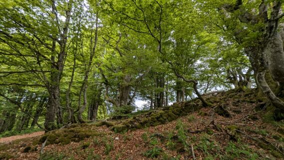 Zdjęcie z Richard Schwald wzdłuż trasy