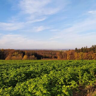 Vier-Kapellen-Weg