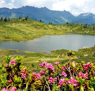 Buse See