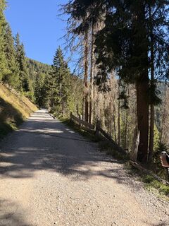 Foto de Julia Stamminger a lo largo del recorrido