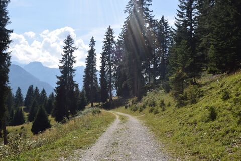 Unterwegs auf dem Familien-Erlebnisweg