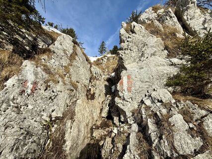 Zdjęcie z Natur_erleben_dg wzdłuż trasy