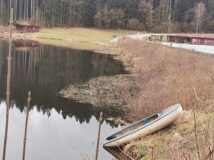 Foto von Waldläufer entlang der Tour