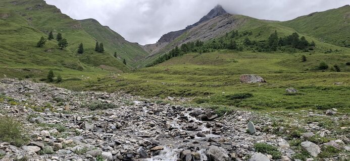 Fotografija s spletne strani David Bubenheim na poti