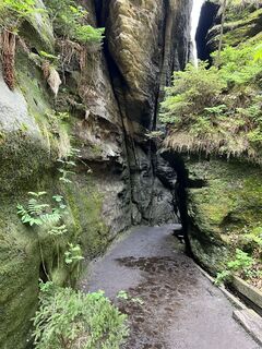 Photo de Jens Scheffler le long du parcours