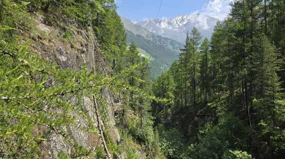Foto von ChrisWe entlang der Tour