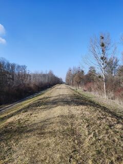 Foto von King-Ironimus Colbert entlang der Tour