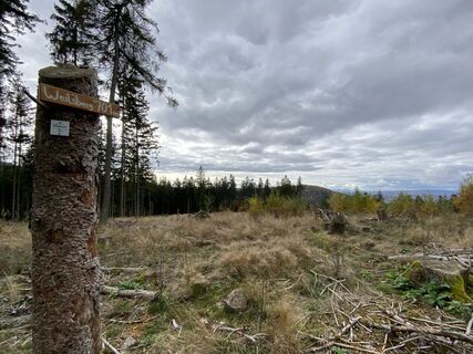 Fotografie z Arthur Muskalla na trase