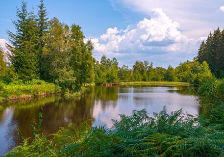 Das kleine Finnland – Hochebene der 1000 Teiche