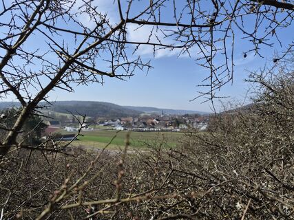 Fotografie z Wollomator na trase