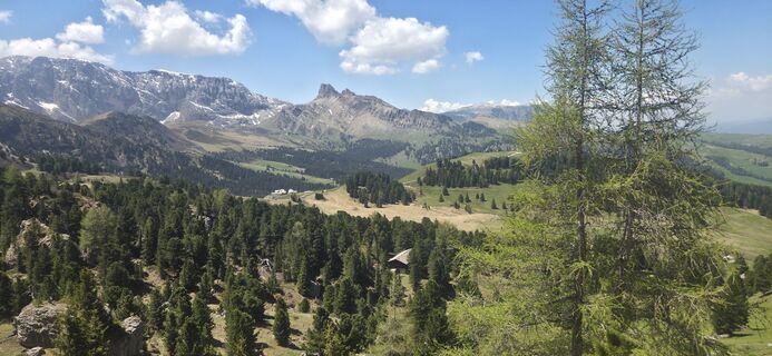Fotografia z Darija Forgač na trase