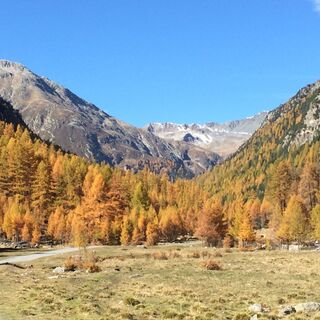 Susauna im Herbst