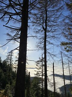 Photo de Michel Kennel le long du parcours