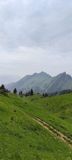 Foto von Joe Täschler entlang der Tour